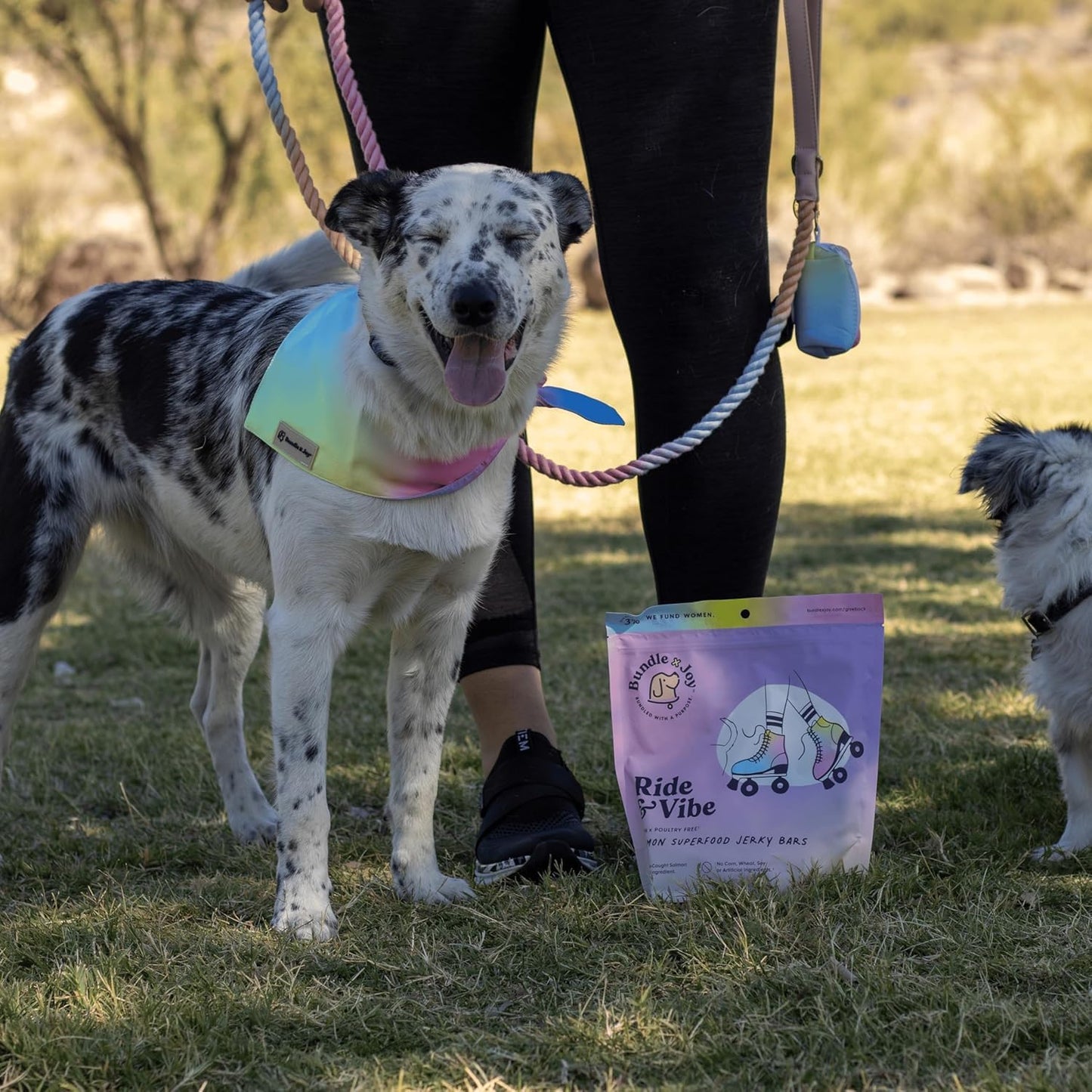 Bundle x Joy Superfood Dog Treats Salmon, Chicken or Beef Jerky Bars - Dog Treats for Snacks and Training – Made in USA - No Corn, Wheat or Soy – Poultry Free, 5oz or 16oz (Salmon (2 Lbs))