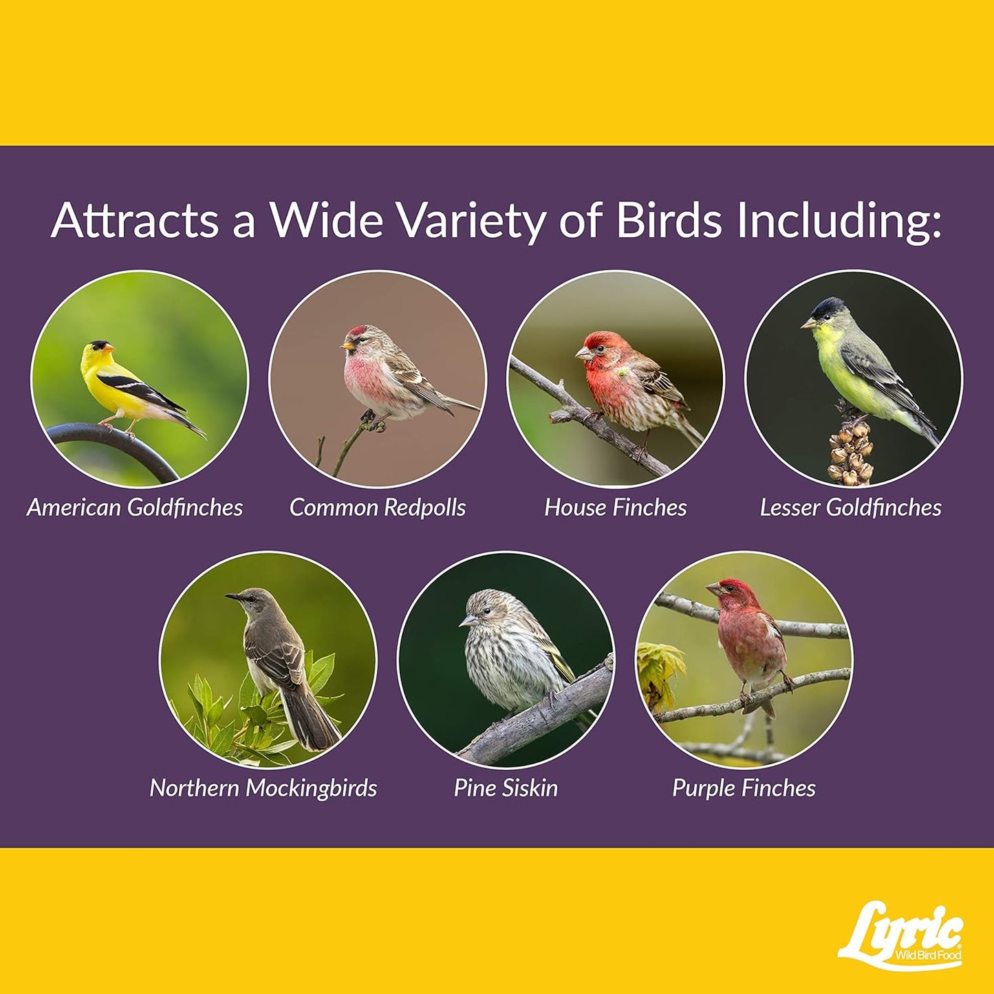 Lyric Finch - Small Songbird Wild Bird Seed - Attracts Goldfinches, House Finches, Purple Finches & More - 5 lb. Bag