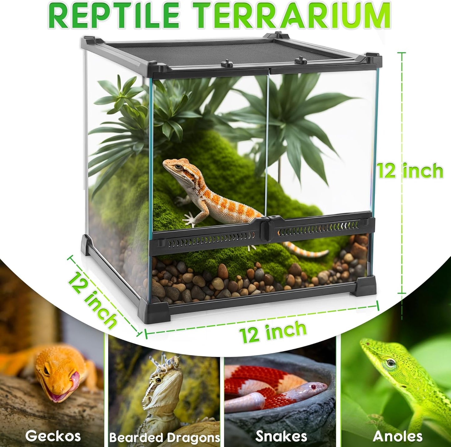 Mini Reptile Glass Terrarium 12"x12"x12" Durable Reptile Habitat Tank with Heat Resistant Aluminum Alloy Frame, Double Swinging Doors with no Jam by Sand and Other Debris