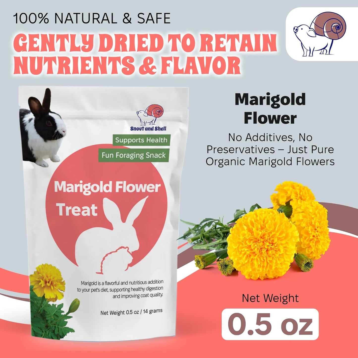 Snout and Shell Marigold Flower Treat for Small Pets – Organic, Healthy Digestive Support – Fun Foraging Snack for Rabbits, Guinea Pigs, Chinchillas, and More – 0.5 oz / 14g