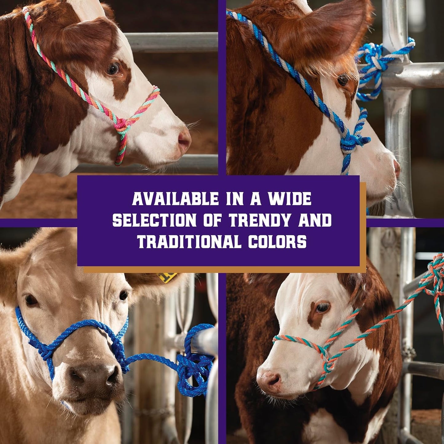 Weaver Livestock Braided Poly Rope Cattle Halter, Adjustable Style Cow Calf Halter, Livestock Handling Equipment for Showing, Hot Pink/Coral/Mint