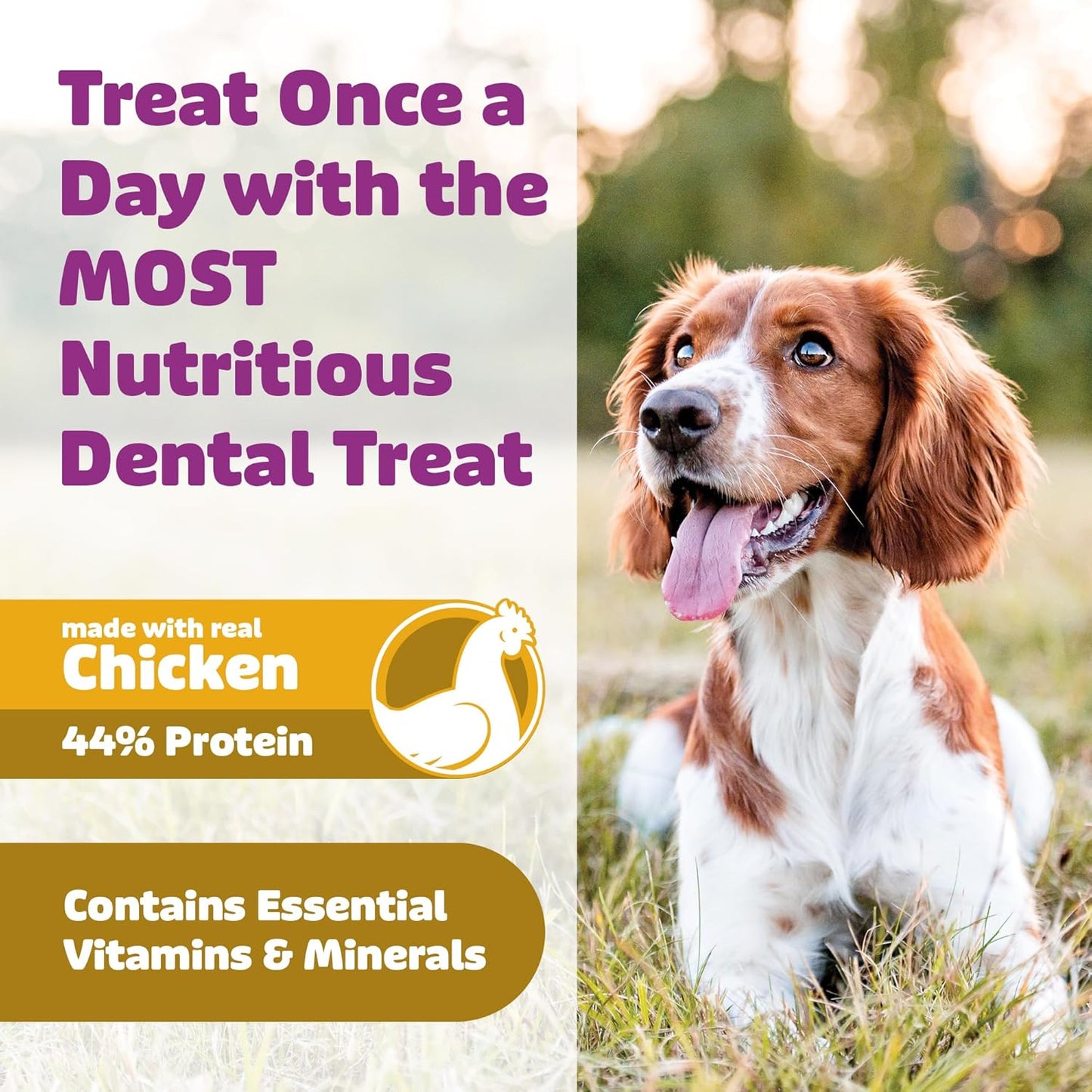 Dog Dental Treats – Vet VOHC Approved – Delicious Chicken Protein – Removes Tartar with Cleaning Comb Shape – Dental Dog Treats for Large Dogs (36oz, 27 Count)