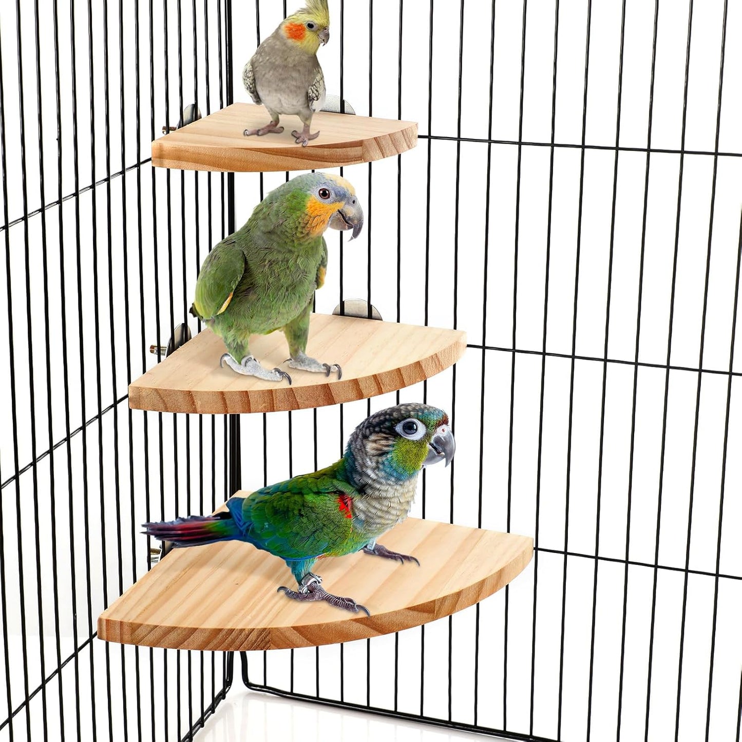 Wettarn 6 Pcs Bird Perch Platform Bird Corner Parrot Perch Corner Wooden Stand Sector Playground Cage Accessories Shelf for Parakeet Conure Cockatiel Budgie Gerbil Rat(Assorted Sizes)