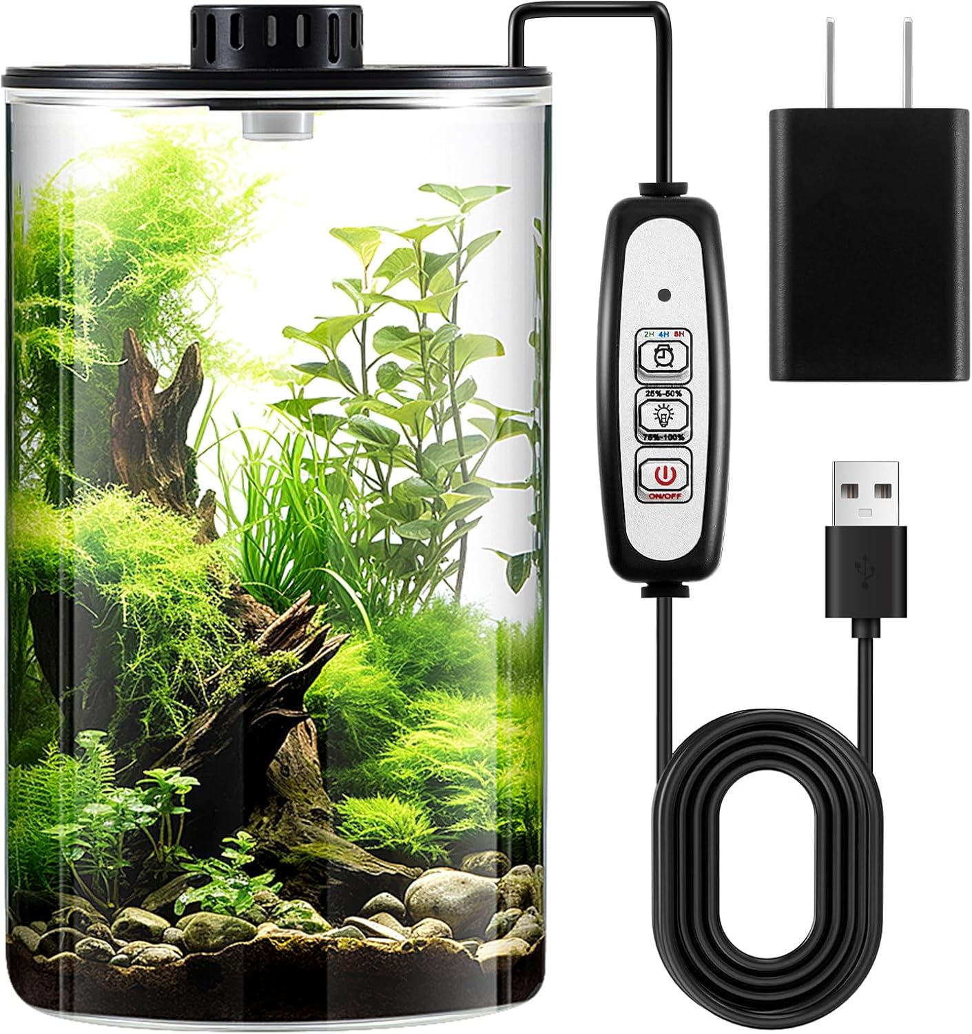 Maxdot Glass Plant Terrarium Kit with Light for Succulent, Moss, Miniature Gardening Landscape, Betta Fish Tank, Office Home Decoration, Plant Lovers Gifts(9.8 x 5.9 Inch)