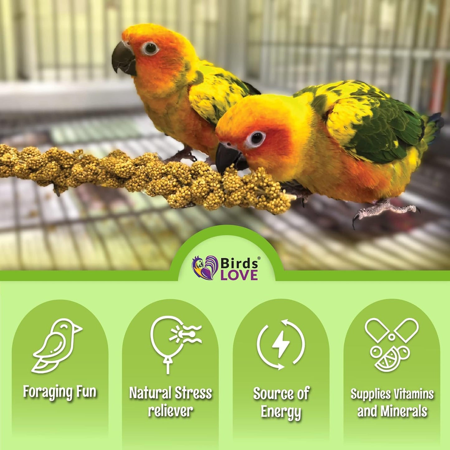 Birds LOVE French Kissed Spray Millet for Birds - Parakeets, Cockatiels, Lovebirds, Finches, Budgies, Canaries, Cockatoos - Natural & Healthy Bird Millet - Parakeet Food & Treats for All Parrots 2lbs