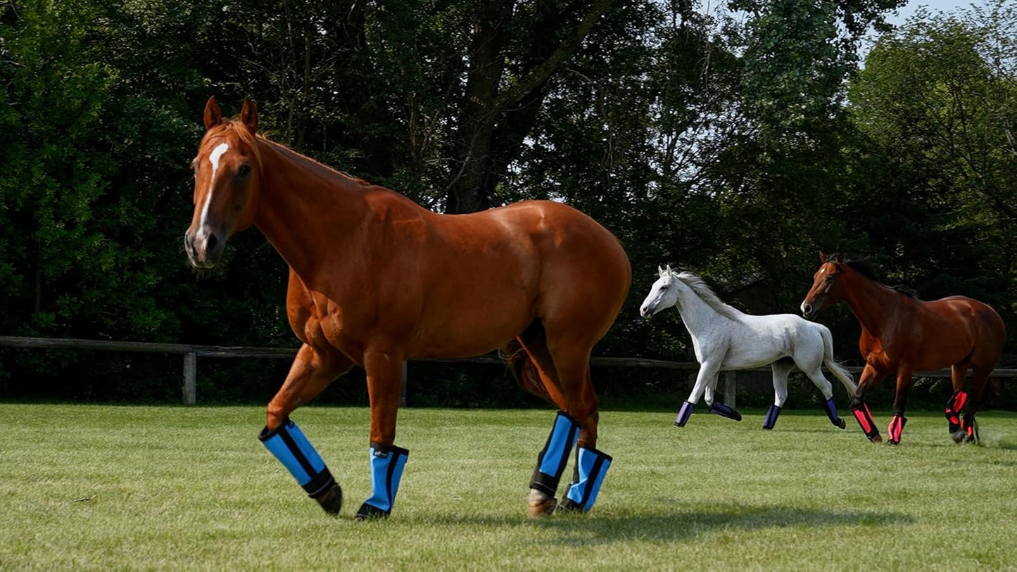Warrior Fly Boots for Horses - Breathable Mesh Horse Boots for Fly Protection & Leg Comfort - Set of 4 (The Warrior, Light Blue)