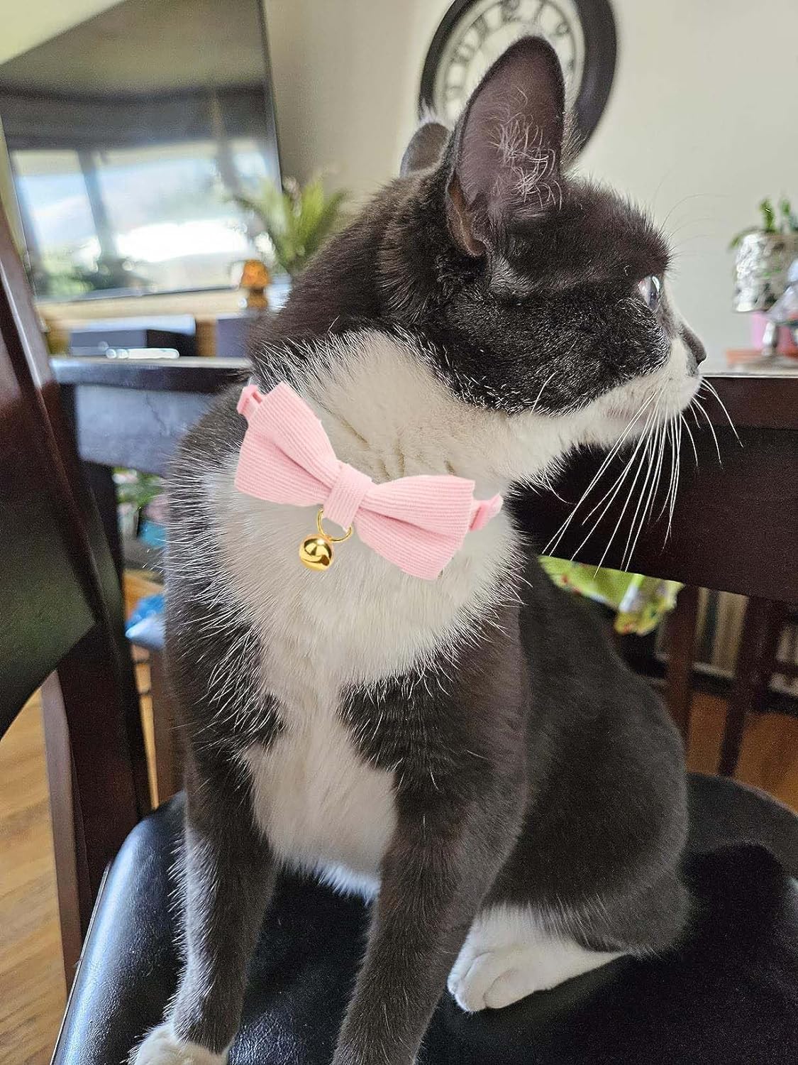 2 Pack Soft Corduroy Cat Collars with Bow Tie & Bell, Adjustable Breakaway Cotton Kitty Bowtie Collar for Female Male Cats(Grass Green & Pink)