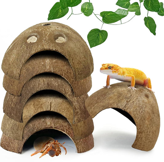 Hamiledyi 7 Pcs Reptile Hideouts Natural Coconut Shells Hut Leopard Gecko Tank Accessories for Aquarium Fish Hermit Crab Hide Cave Small Snake Tarantulas Lizard Chameleon (Without Fiber)