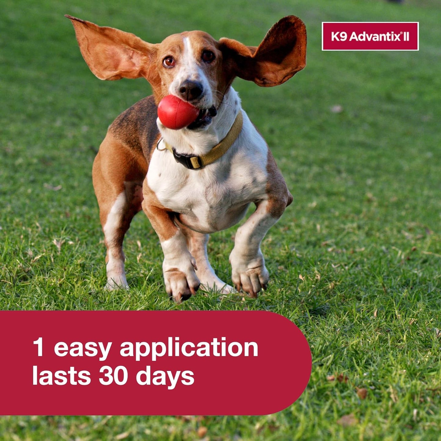 K9 Advantix II Small Dog Vet-Recommended Flea, Tick & Mosquito Treatment & Prevention | Dogs 4-10 lbs. | 6-Mo Supply