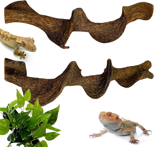 BNOSDM 2Pcs Reptile Climbing Branches Decor,Snake Climbing Branch,Gecko Climb Wood,Lizard Forest Branch,Tank Habitat Tree Trunk Decorations for Bearded Dragons,Chameleons,Spider,Frogs (L)