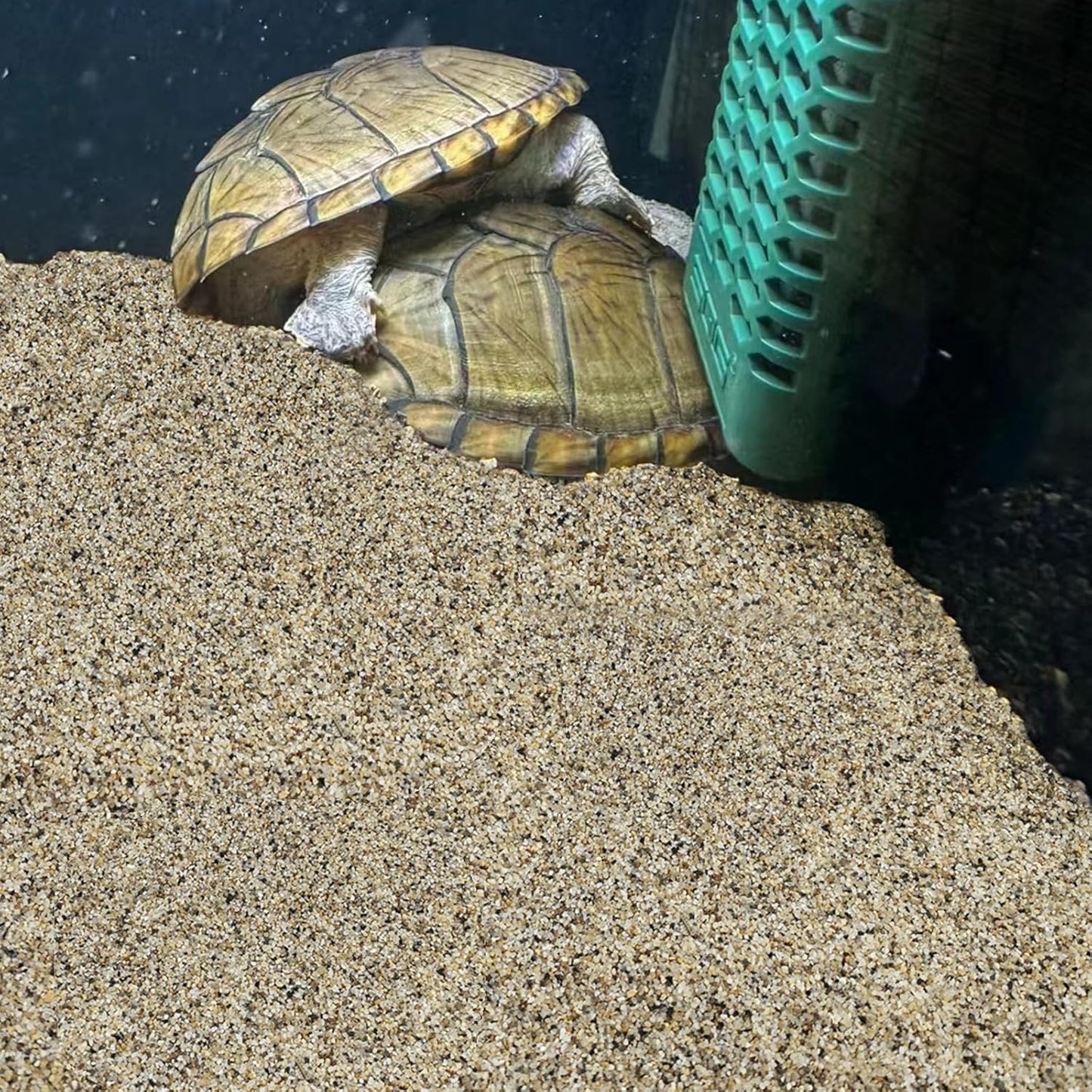 5 lbs Aquarium Sand, 0.6-1.2 mm Aquarium Substrate for Freshwater Fish Tank. Decorative River Rocks Gravel for Fish Tank, Plants Potted, Fire Pits, Candle, Vase and Crafts