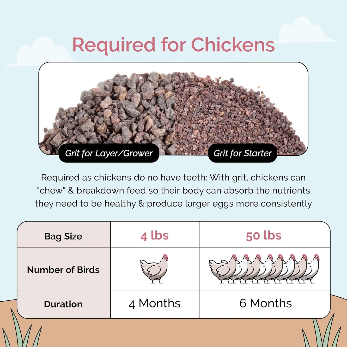 Chicken Grit for Layer & Grower Chickens Age 8-20+ Weeks - 100% Natural Mineral Chicken Grit Quartzite, Poultry Grit, USA Mined, 50 lbs