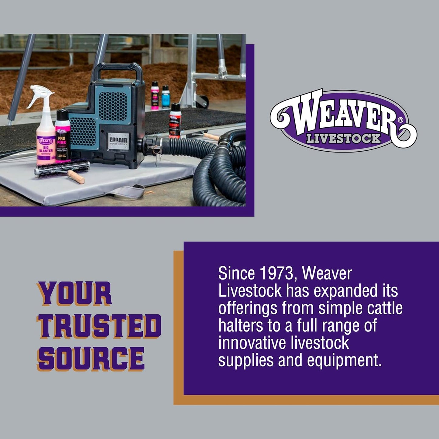 Weaver Leather Livestock Winner's Brand Pro Hair100 Shampoo, 1 Gallon