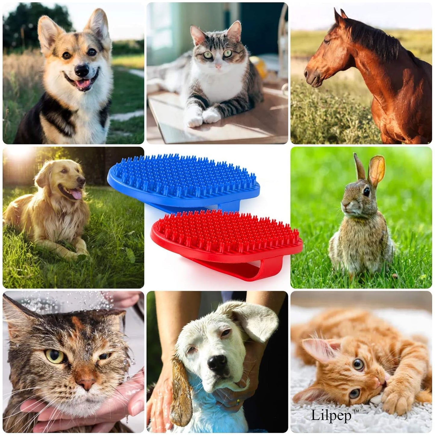 Lilpep Dog Bath Brush, Rubber Pet Shampoo Brush with Silicone Bristles for Massaging Grooming, Removing Short Haired Dogs Cats Shedding, Tangles and Dead Undercoat(Red, plum brush)