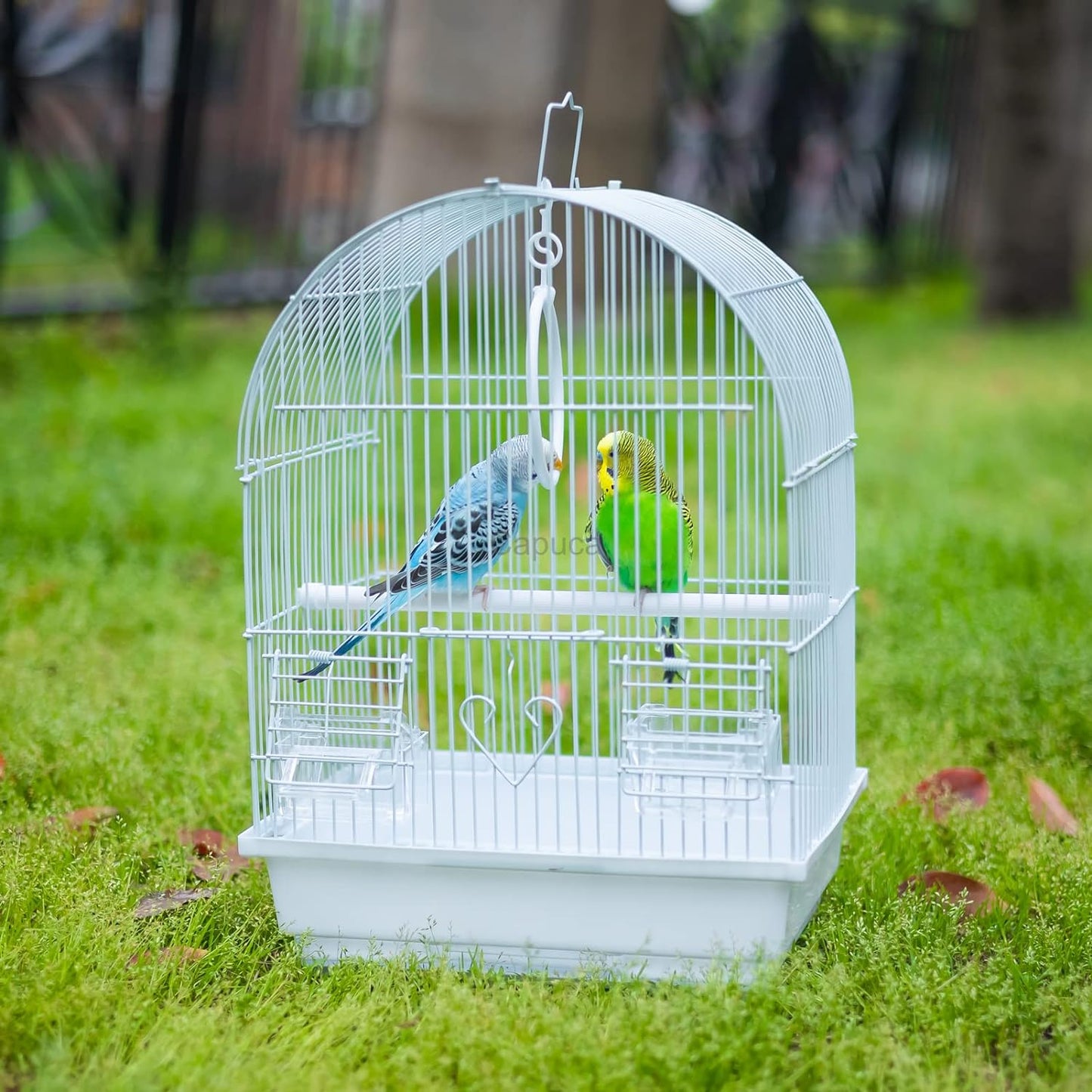 Small Bird Travel Cage - Lightweight Small Birds Starter Kit with Birdcages and Accessories Great for Parakeets Lovebirds Parrotlets Finches Canaries