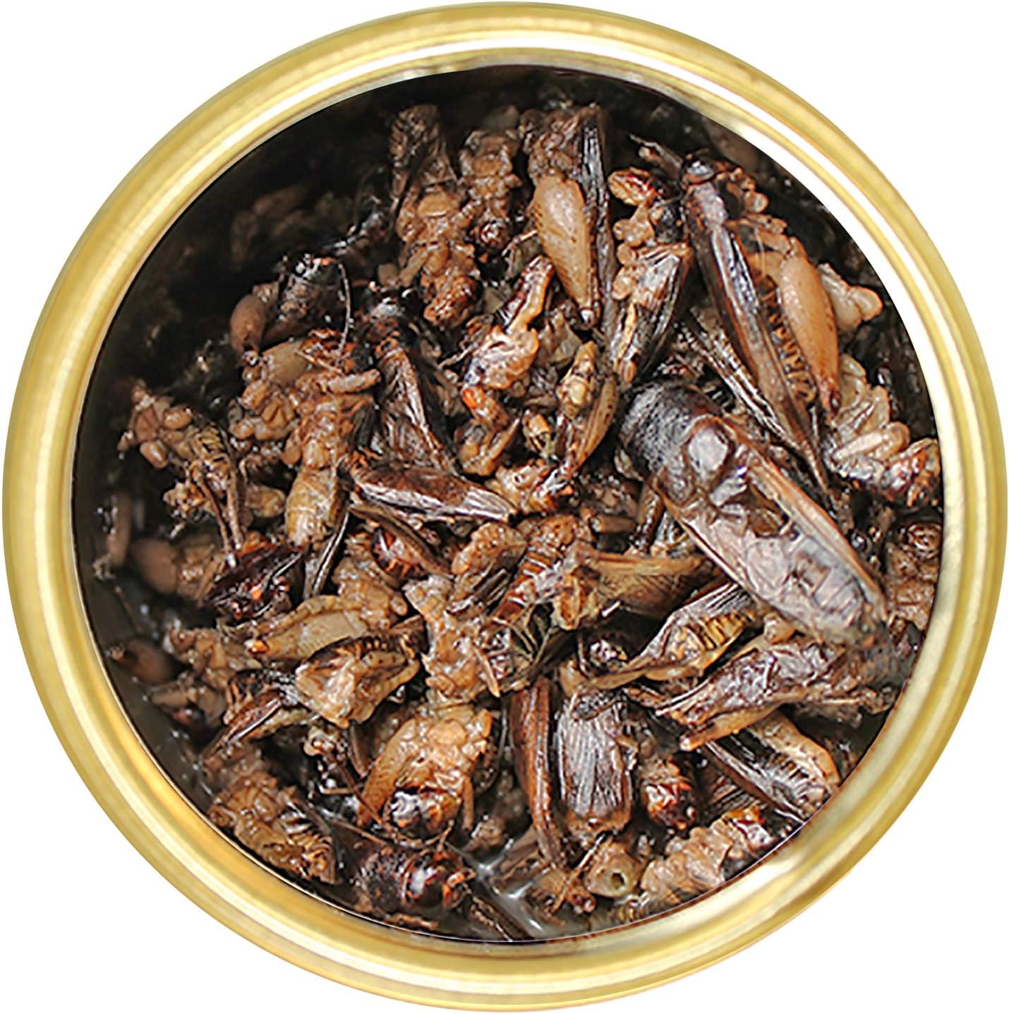 Canned Crickets (1.2 oz.) - Healthy High Protein Insect Treat - Hedgehogs, Sugar Gliders, Reptiles, Wild Birds, Chickens, Lizards, Bearded Dragons, Skunks, Opossums, Fish, Amphibians, Turtles