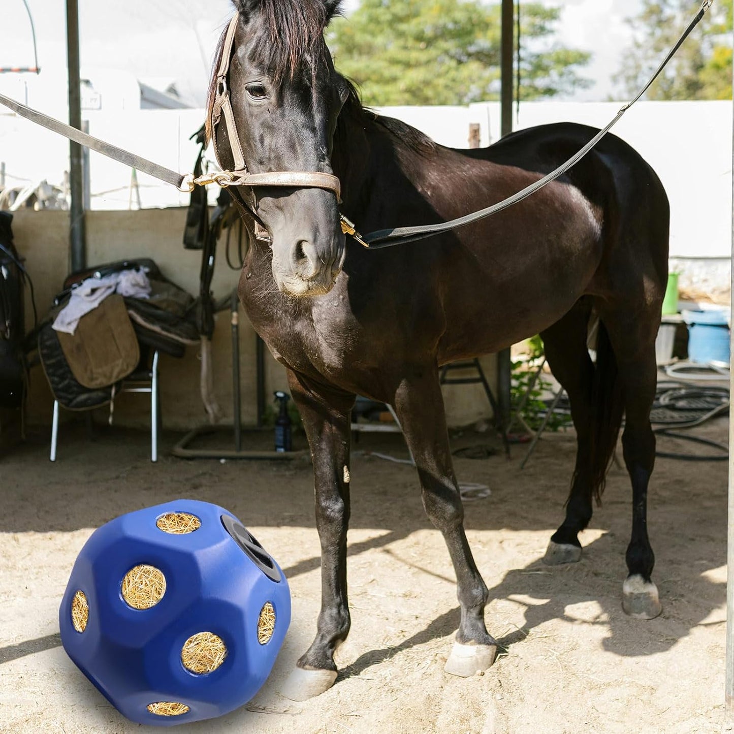 Hay Feeder, Horse Treat Ball, Hay Feeder for Horses, Horse Ball, Hay Ball Feeder for Horses, Horse Feeders for Stalls