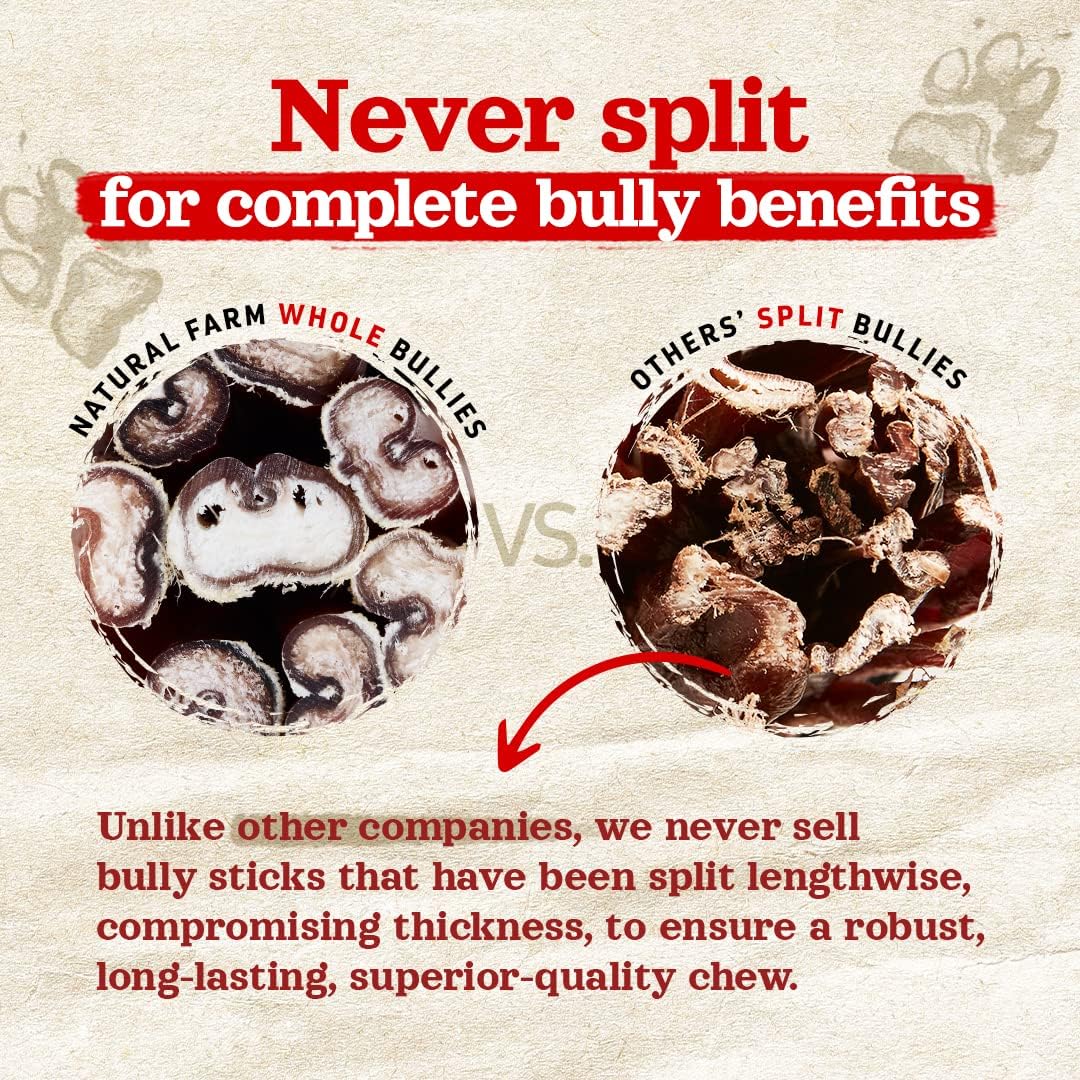 Natural Farm Odor-Free Thick Bully Sticks (12”, 5-Pack) All-Natural Long-Lasting Dog Chews, 100% Beef Pizzle, Grass-Fed, Grain-Free, Protein for Muscle Development & Energy, Perfect for Large Dogs