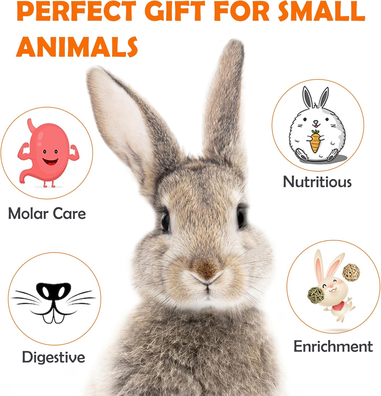 Sofier Timothy Hay Treats Rabbit Toys Bunny Guinea Pig Hamster Natural Chews for Teeth Handmade Rabbit Chews and Treats Chinchilla Rat Gerbil