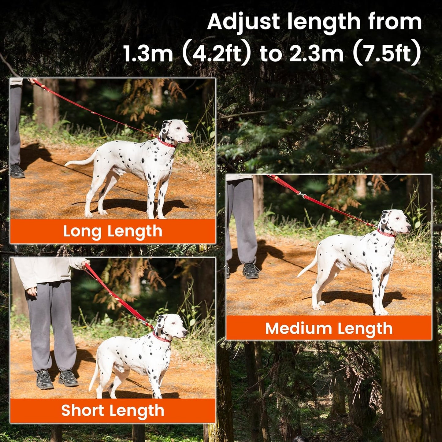 HOWGO 8-in-1 Multifunctional Hands Free Dog Training Leash with Padded Handle,8.5 FT Nylon Adjustable Length,Lightweight Aviation Aluminum,Crossbody Waist Leash for Puppy Medium Large Dogs (MintGreen)