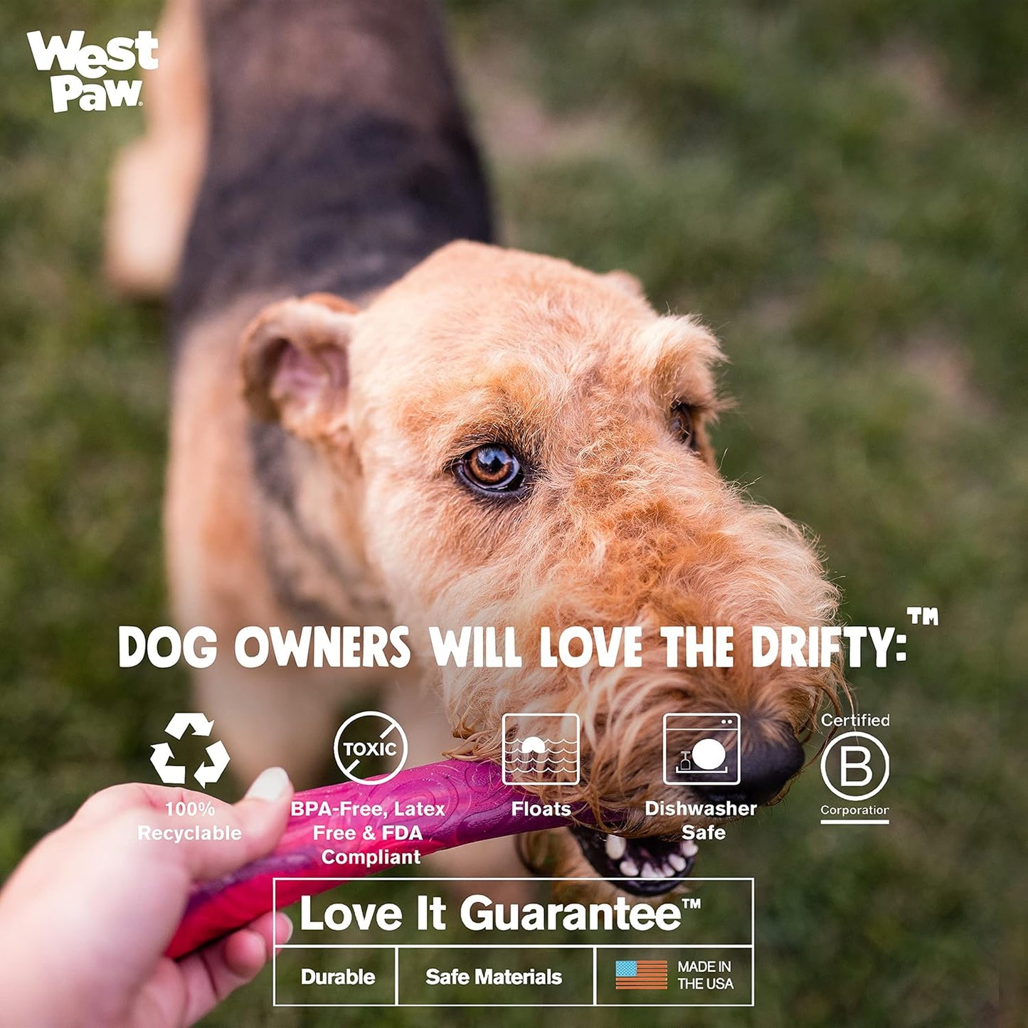 WEST PAW Seaflex Drifty Dog Toy – Machine Washable Dog Toys for Moderate Chewers – Eco-Friendly Zogoflex Toys for Dogs – Perfect for Gnawing, Fetch, Catch, Pet Training – 8.5" Large, Emerald