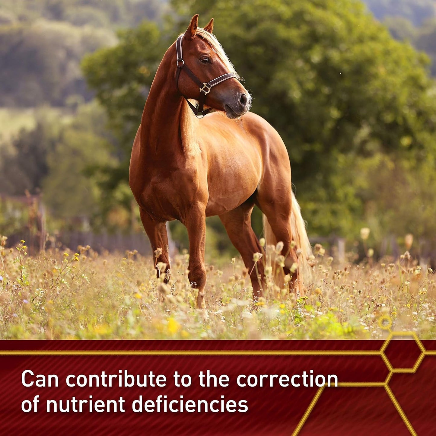 Pro E and Horse Selenium Supplement, Balanced Essential Antioxidants, 20 Pound, 320-Day Supply