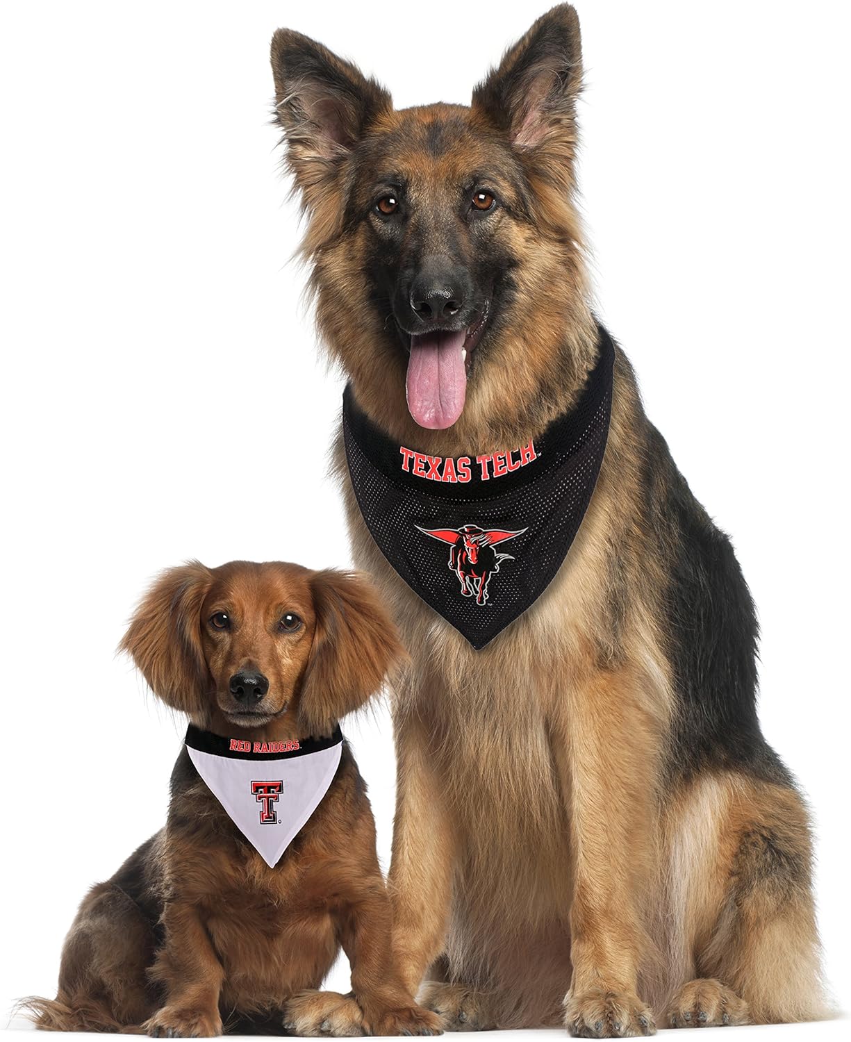 Pets First Collegiate Pet Accessories, Reversible Bandana, Texas Tech Red Raiders, Large/X-Large