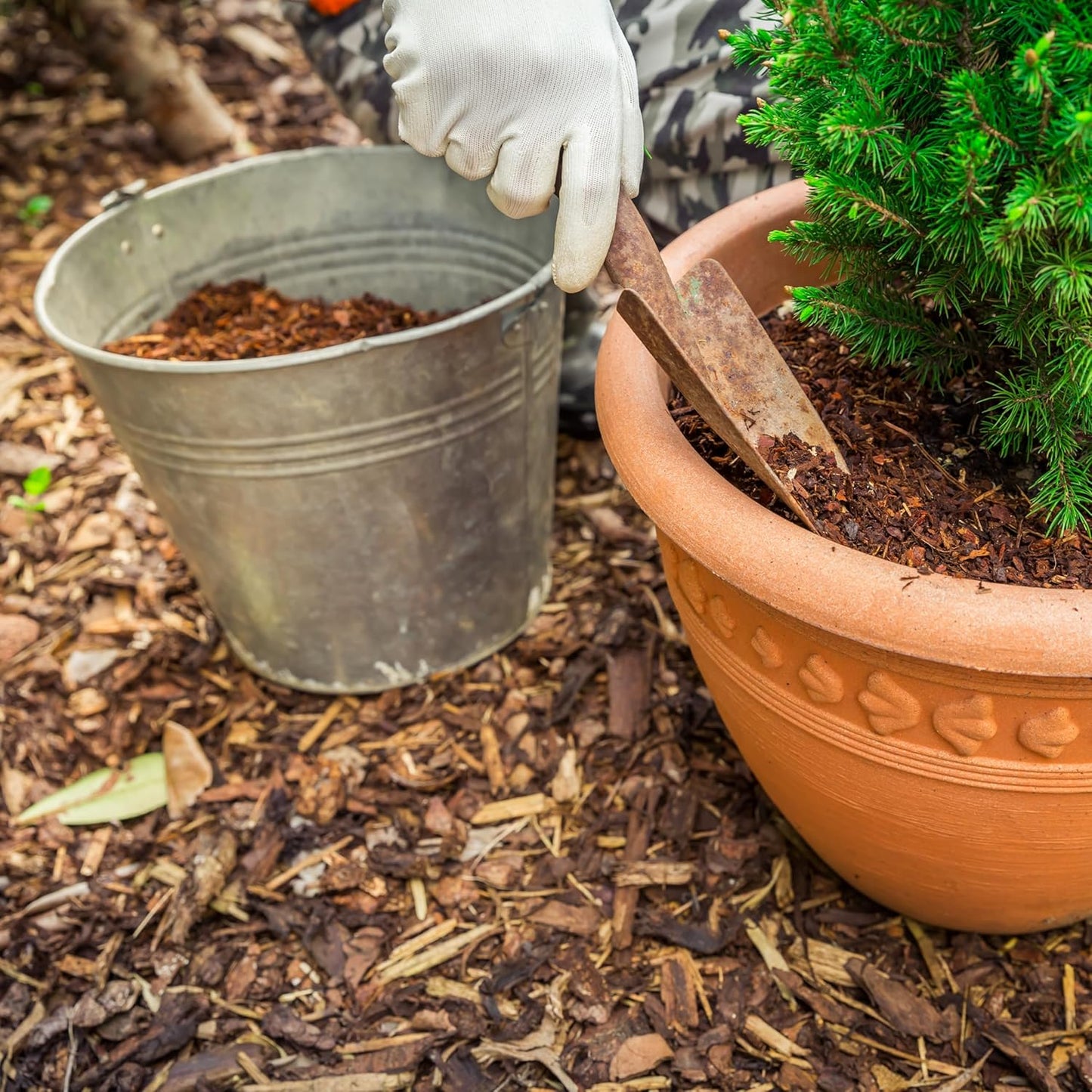 Premium Eucalyptus Wood Mulch for Indoor, Patio, Potting Media, Gardens, Lawns, and Landscaping (0.5 CF - 14 L - 15 QTS)